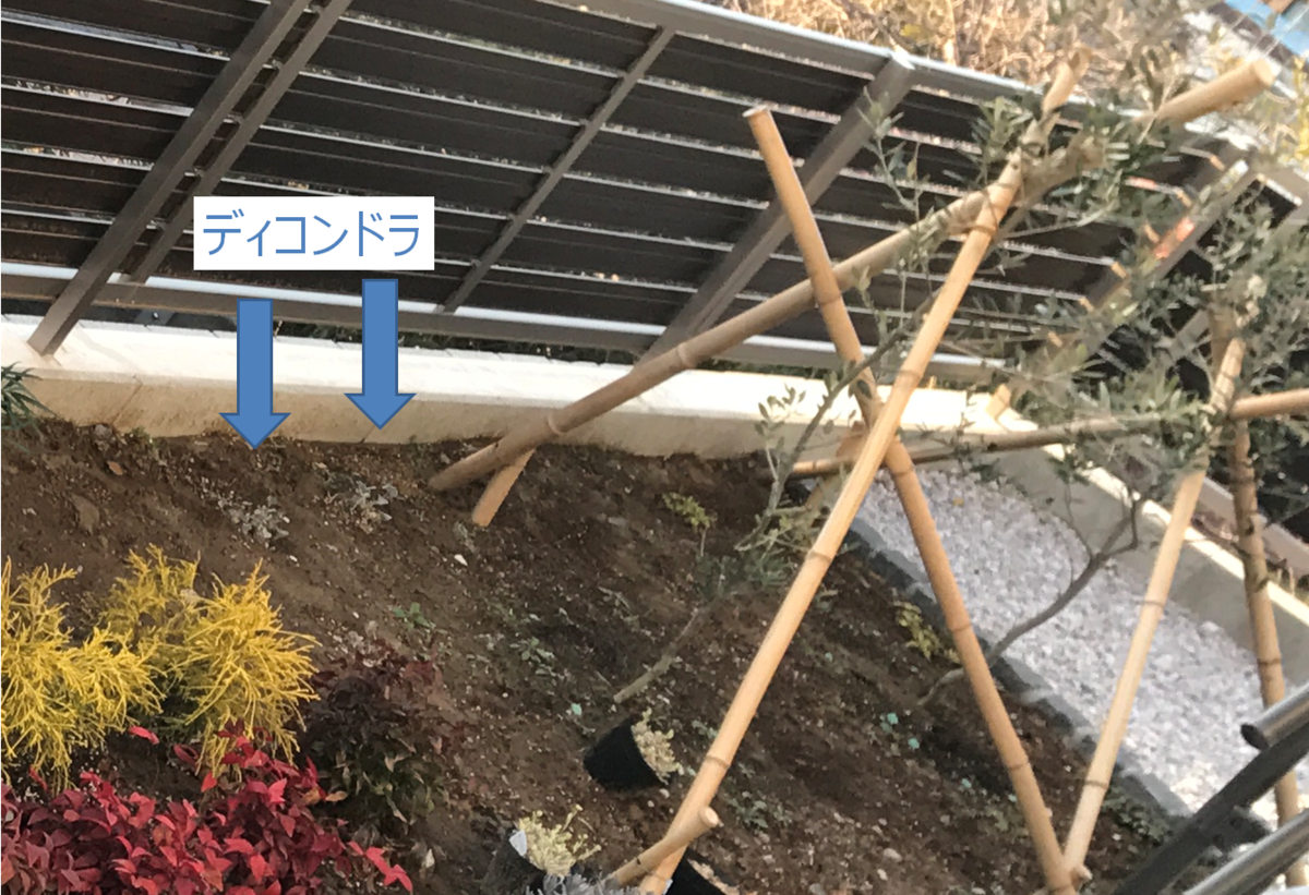 f:id:enoshima07:20210220202318p:plain