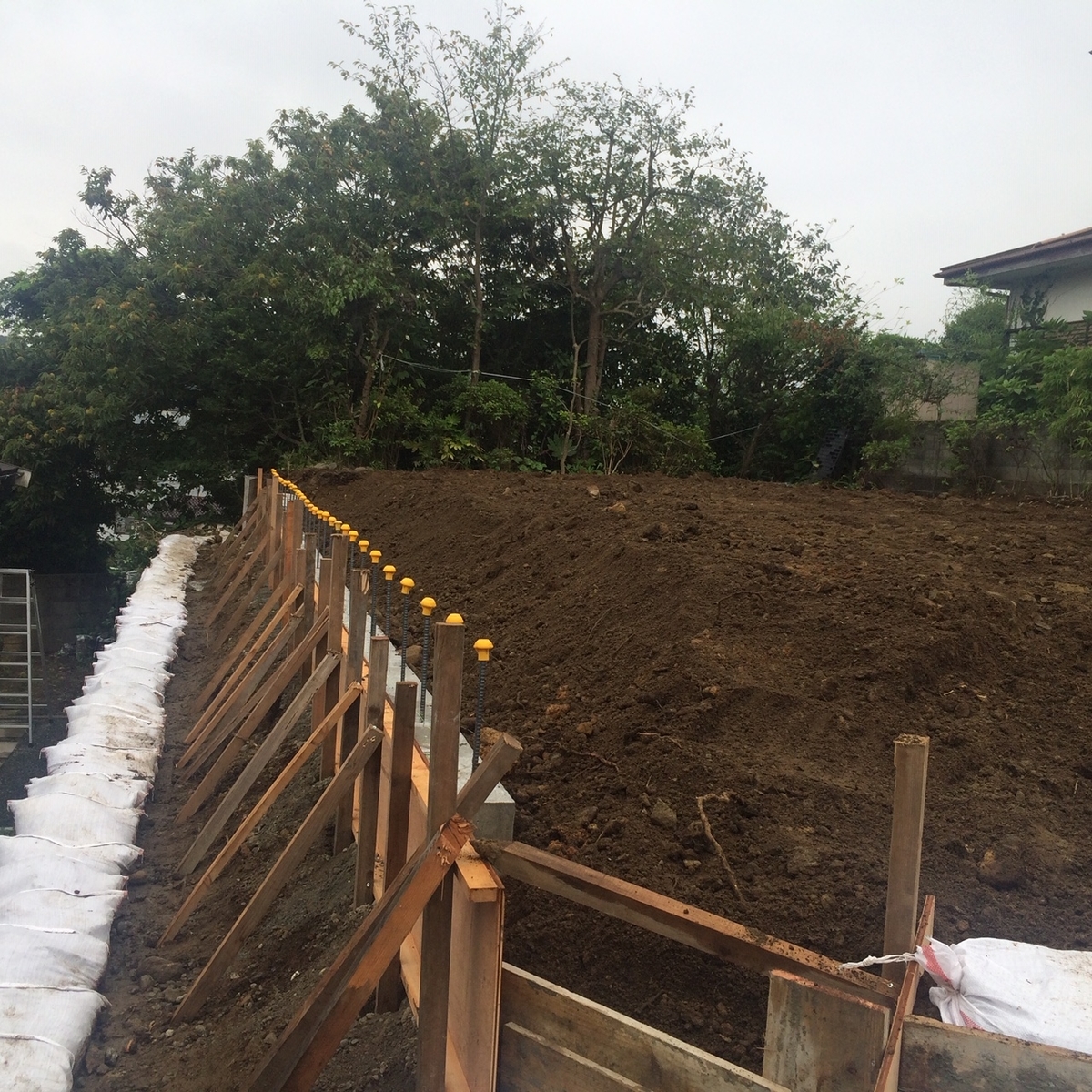 f:id:enoshima07:20211231143526j:plain