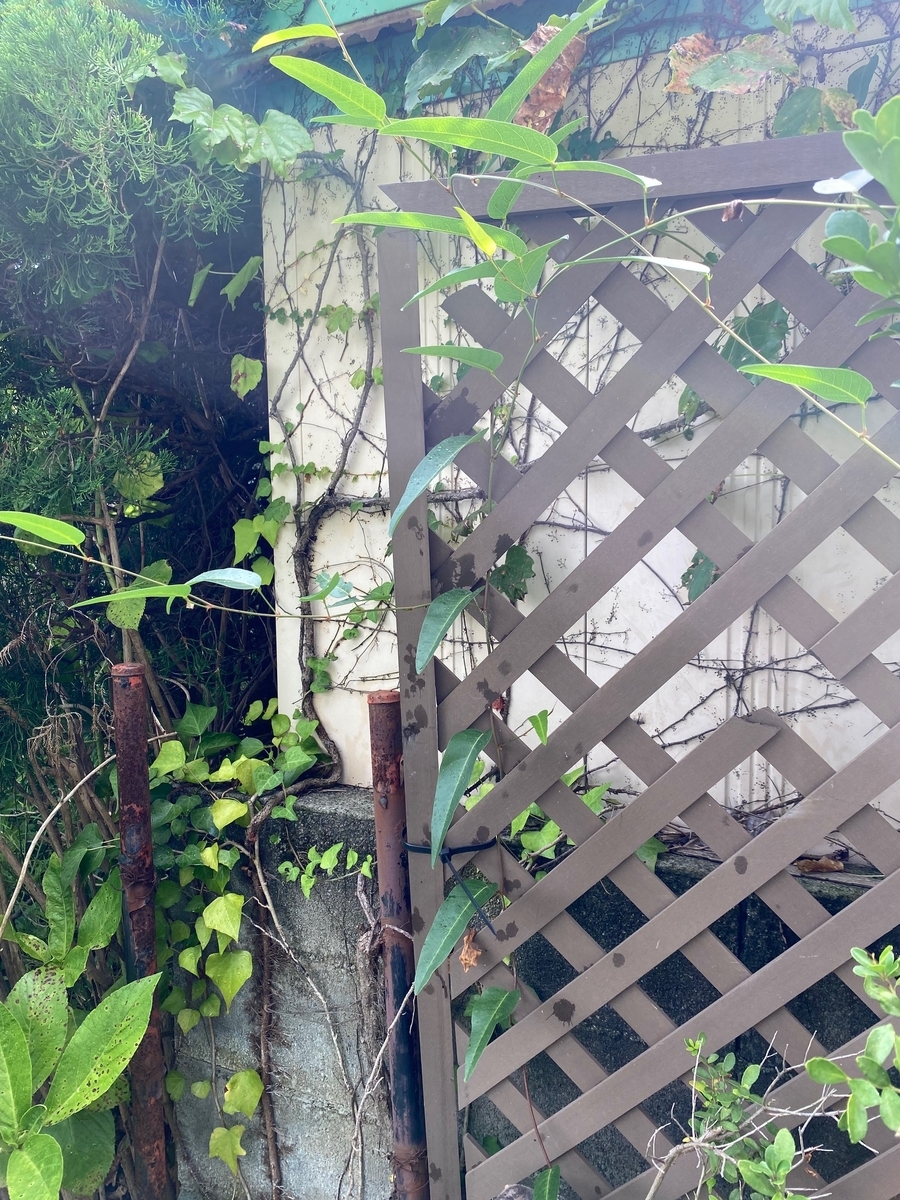 f:id:enoshima07:20220310193836j:plain