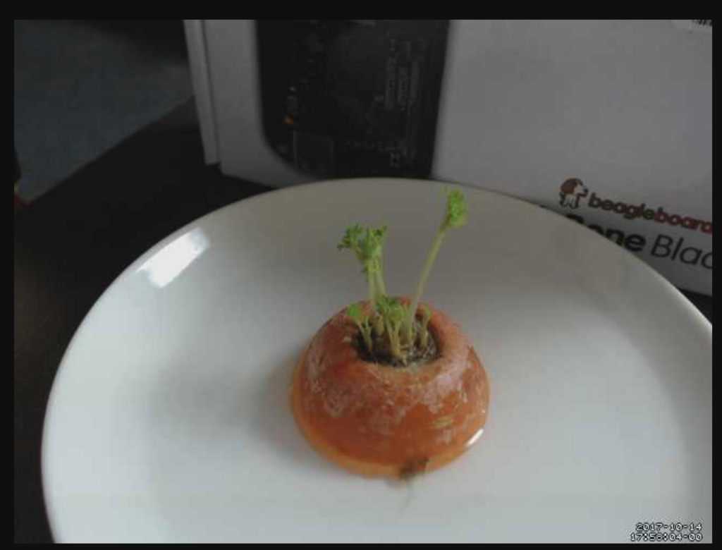 f:id:ensekitt:20171207014803p:plain f:id:ensekitt:20171207014803p:plain