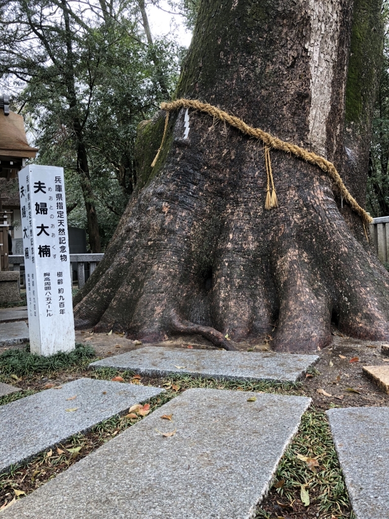 f:id:enshu31415926:20180330222053j:plain