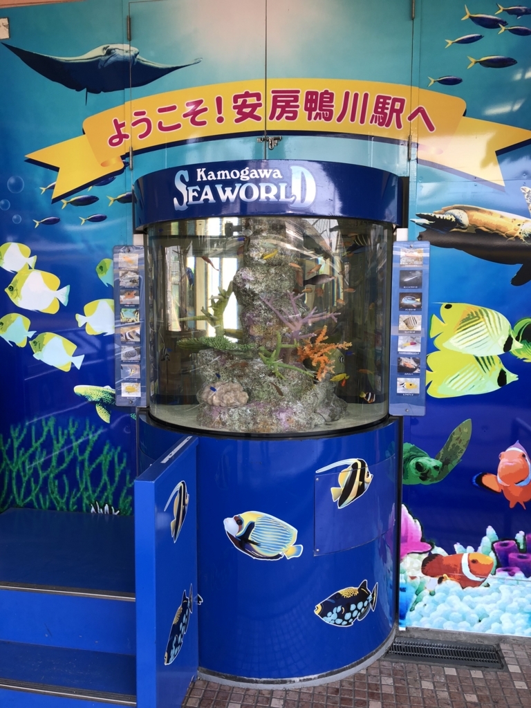 f:id:enshu31415926:20180503223057j:plain