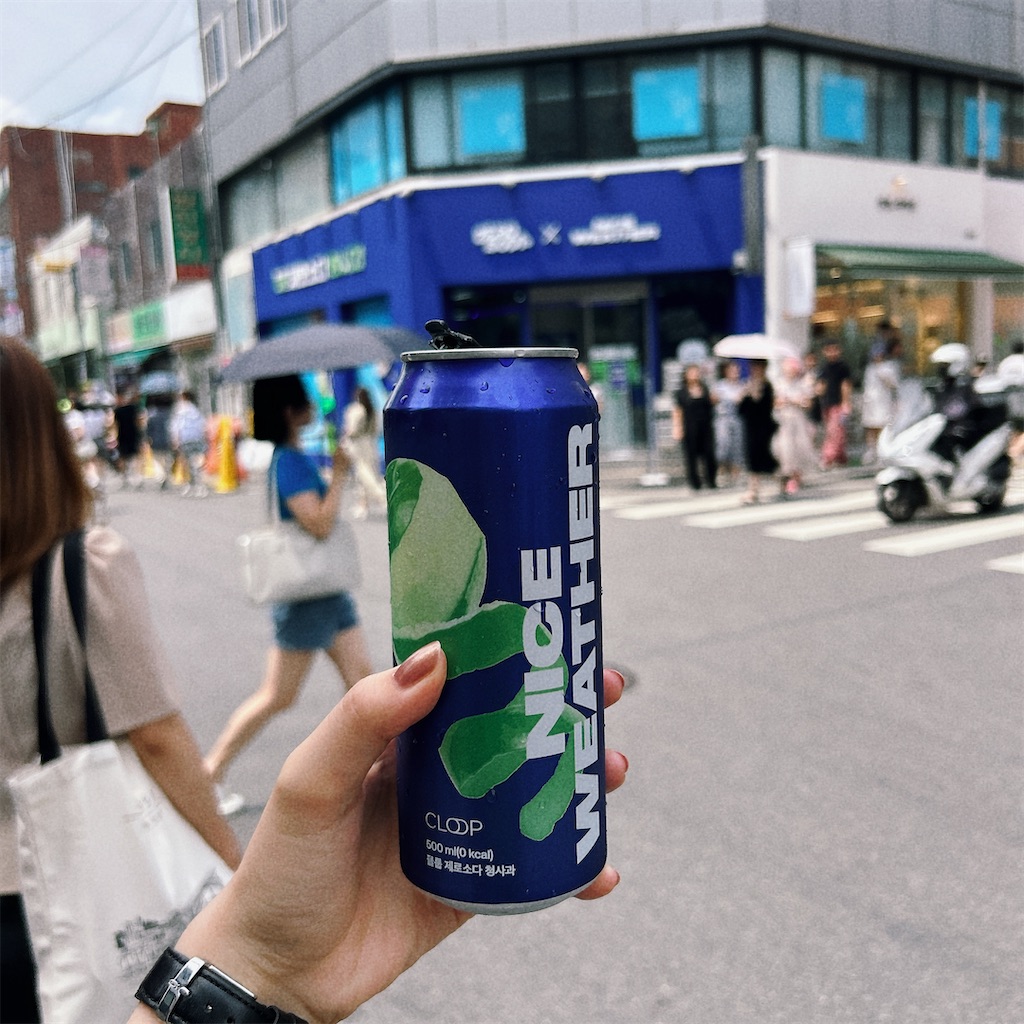 f:id:ensui_2:20230703190251j:image