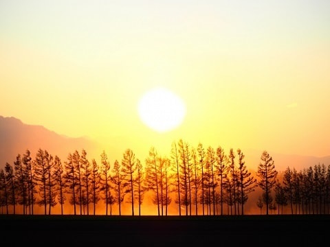 なつ ぞ ら 来週 の あらすじ