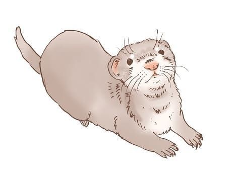 『MIU404』第10話考察!めけめけフェレットとメフィストフェレス