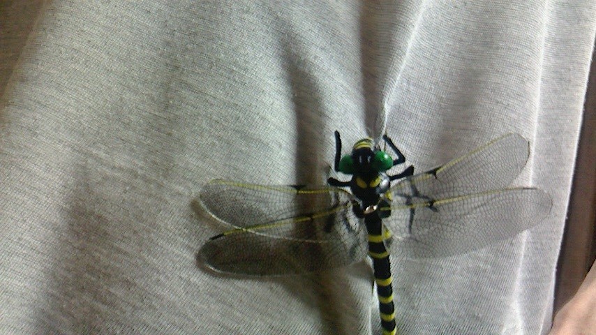 「オニヤンマ君」で虫よけ?アブや蚊、コバエやゴキブリには効果ある?実際に購入して試してみた!