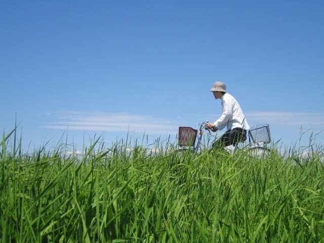 風速7mで自転車は倒れる？