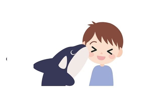 『フリー・ウィリー』あらすじ!【本物?雄のシャチ“ケイコ”との友情を忘れない】