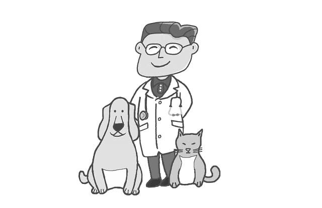 『ドクタードリトル』（2020）あらすじ&キャスト【エディ・マーフィじゃない?子役&女の子は誰?】