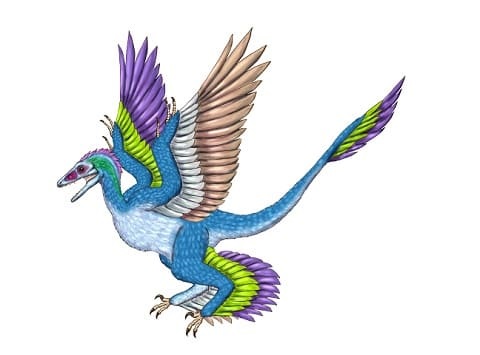 デイナの恐竜図鑑、ミクロラプトル