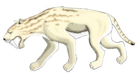 デイナの恐竜図鑑4、先史時代の動物