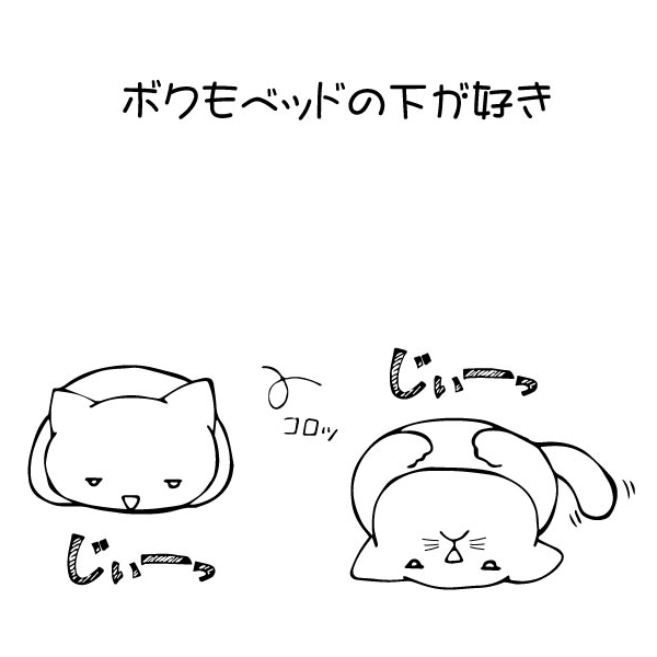 ベッドの下で寝転ぶ猫