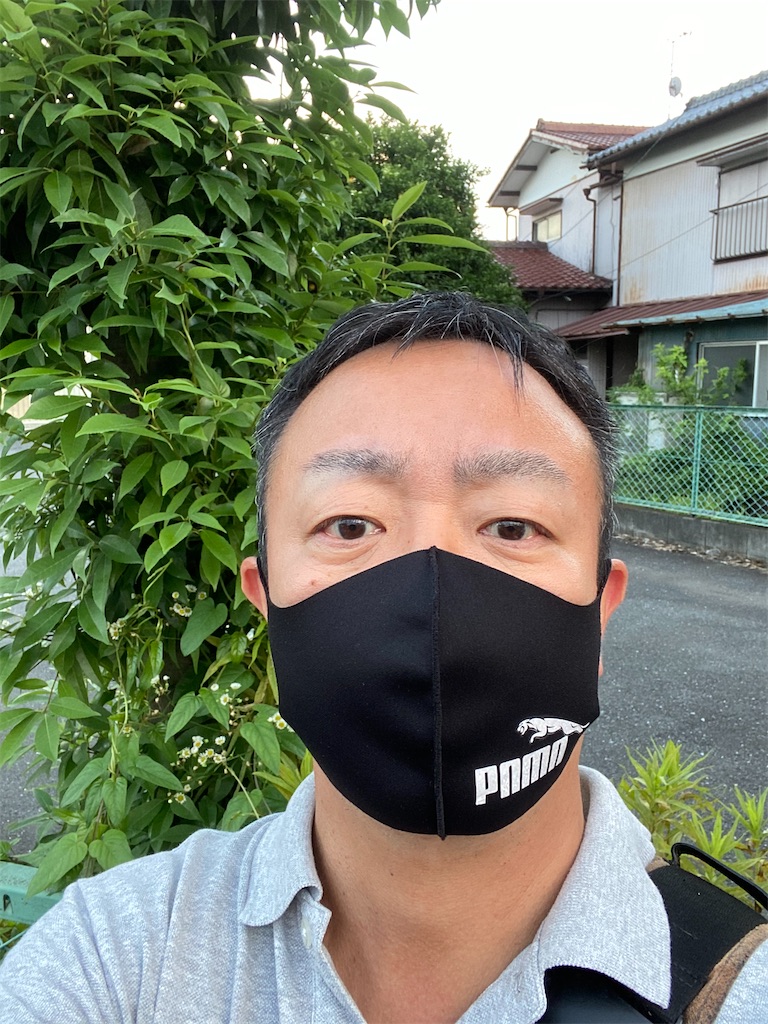 f:id:entothu:20200710141705j:image
