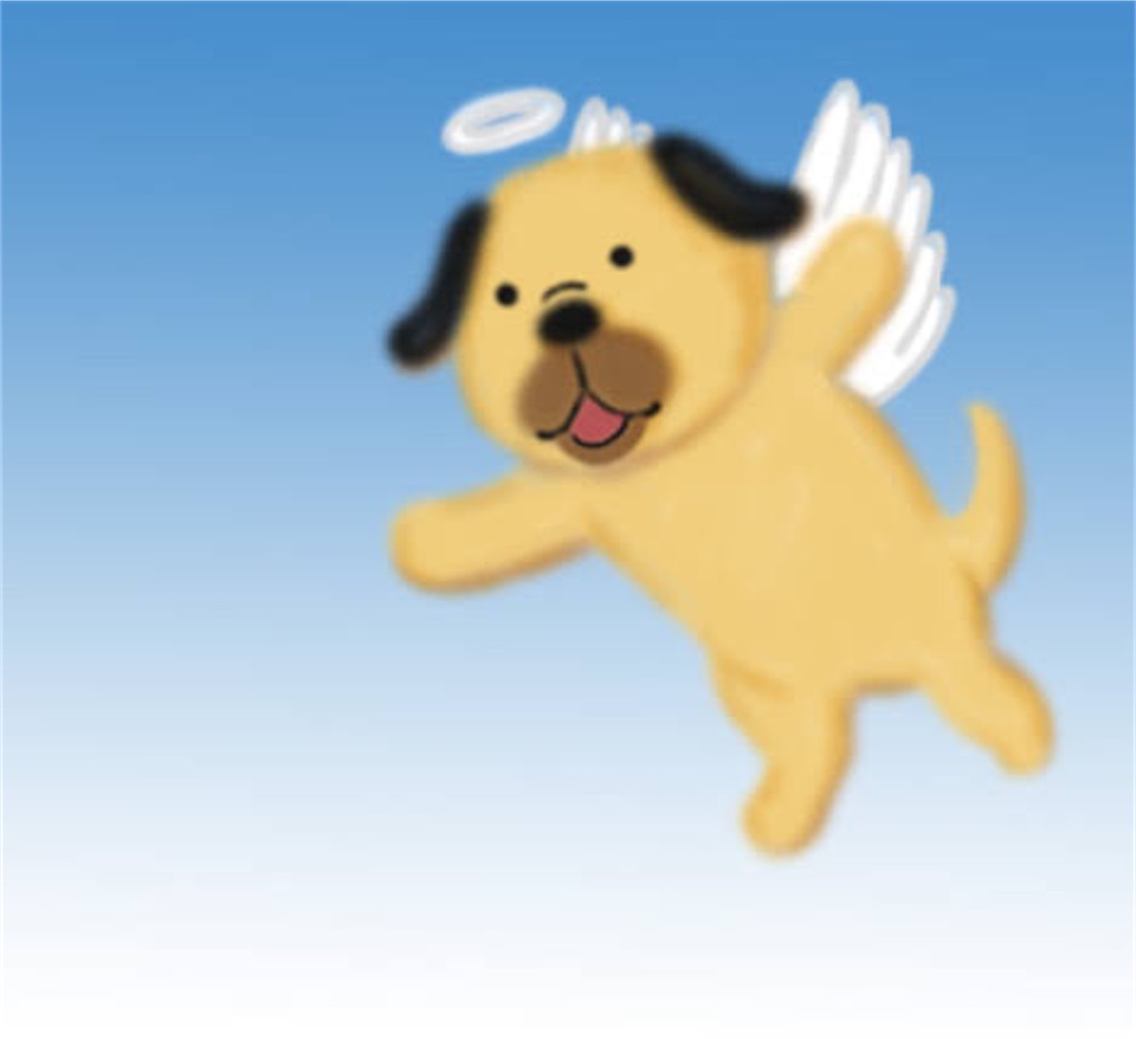 f:id:entothu:20210314200944j:image f:id:entothu:20210314200944j:image