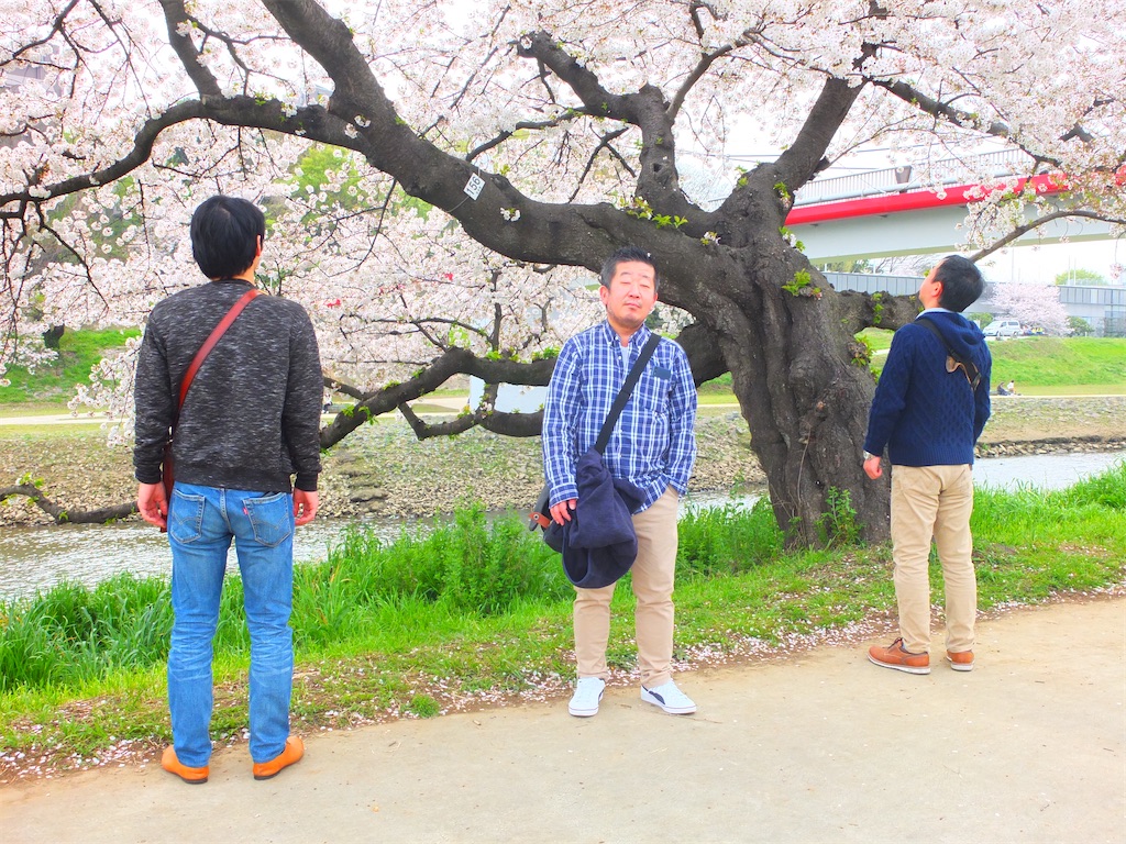 f:id:entothu:20210411135147j:image