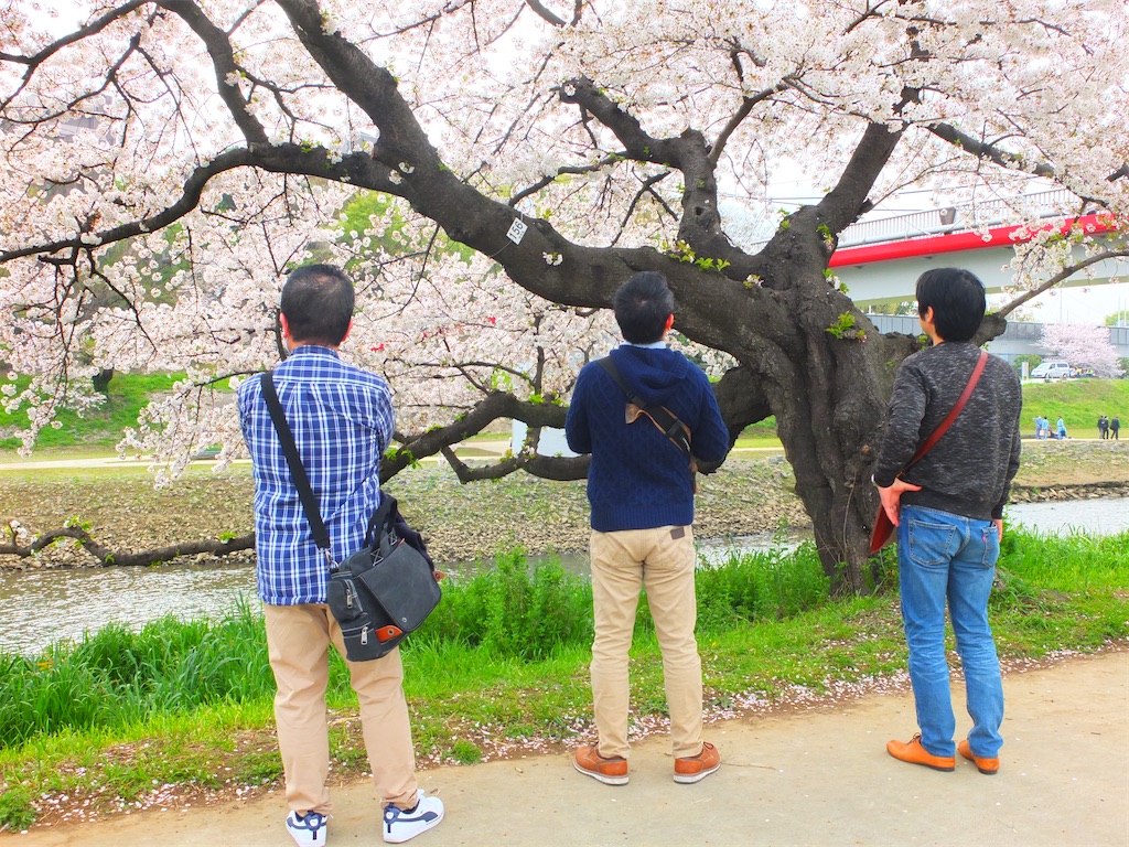 f:id:entothu:20210411135204j:image