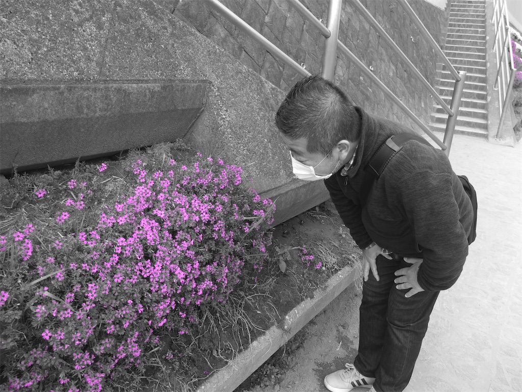 f:id:entothu:20210612210824j:image f:id:entothu:20210612210824j:image