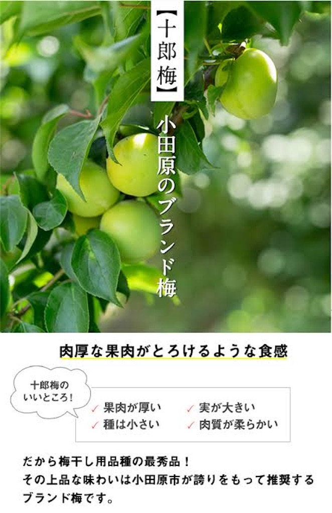 f:id:entothu:20220521105841j:image f:id:entothu:20220521105841j:image