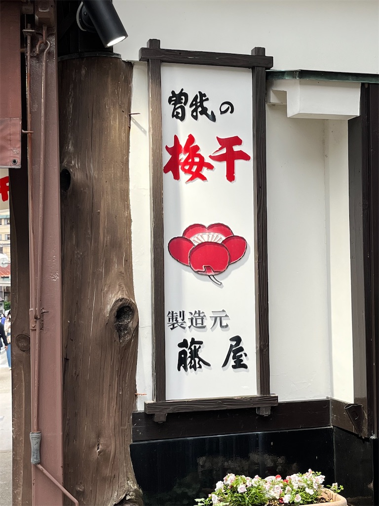 f:id:entothu:20220521113502j:image f:id:entothu:20220521113502j:image