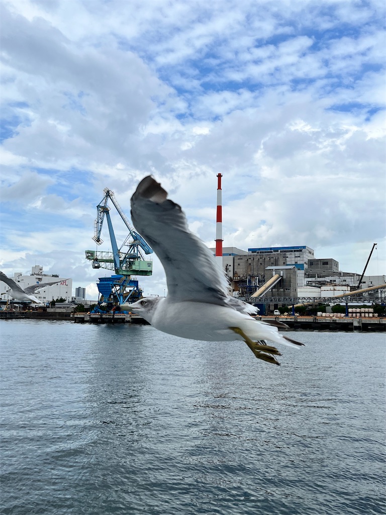 f:id:entothu:20230904165112j:image f:id:entothu:20230904165112j:image