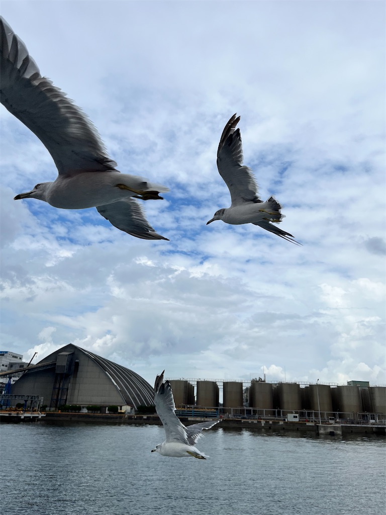 f:id:entothu:20230904165116j:image f:id:entothu:20230904165116j:image