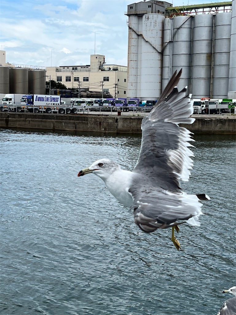 f:id:entothu:20230904165122j:image f:id:entothu:20230904165122j:image