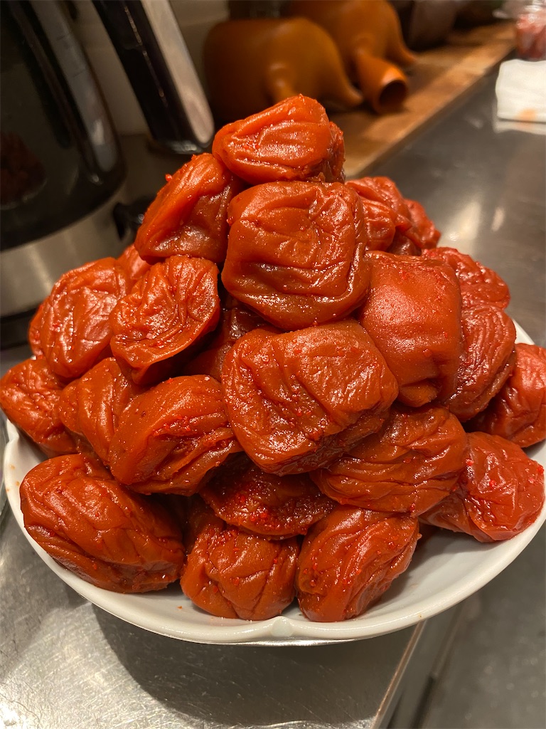 f:id:entothu:20231014185254j:image f:id:entothu:20231014185254j:image