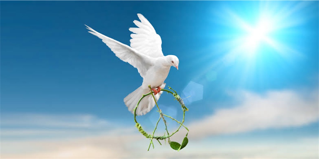 f:id:entothu:20240107091309j:image