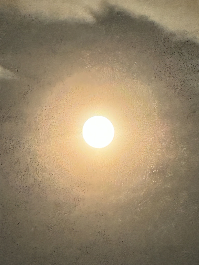 f:id:entothu:20241020233048j:image