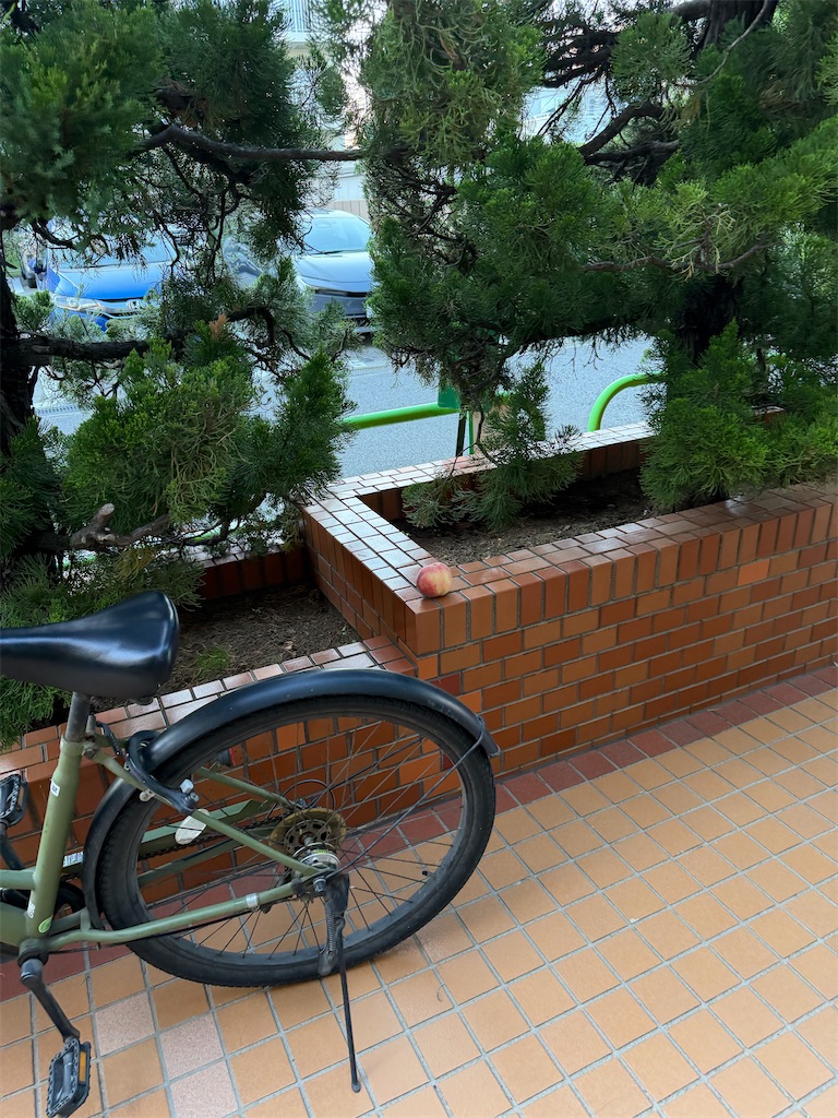 f:id:entothu:20260713093225j:image