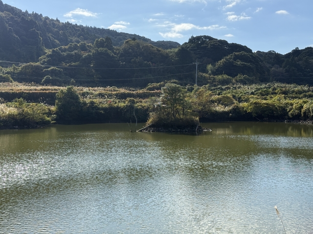 ため池