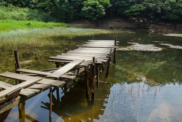 ため池の