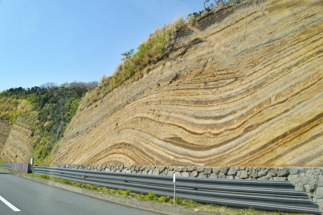 断層の写真