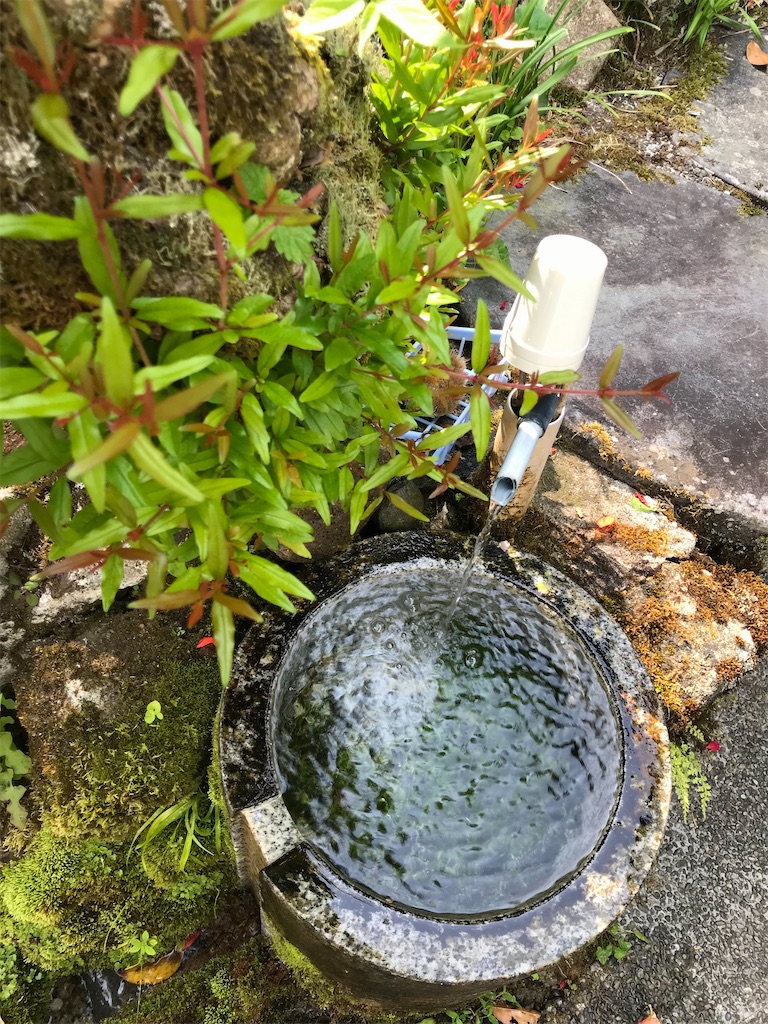 f:id:entsunagi705:20220703174027j:image f:id:entsunagi705:20220703174027j:image