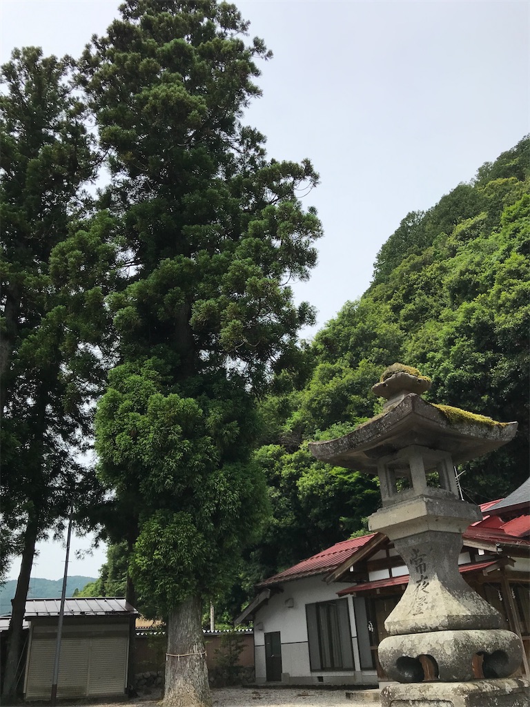 f:id:entsunagi705:20220703175356j:image