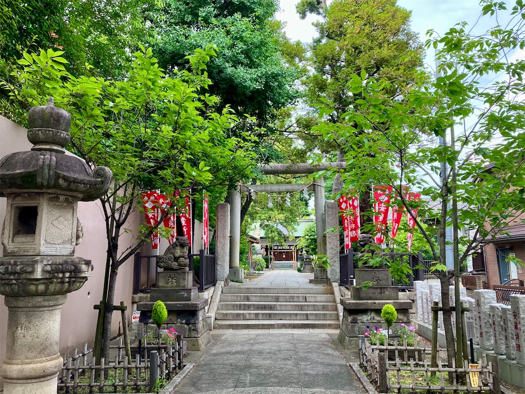 f:id:entsunagi705:20240623004208j:image f:id:entsunagi705:20240623004208j:image