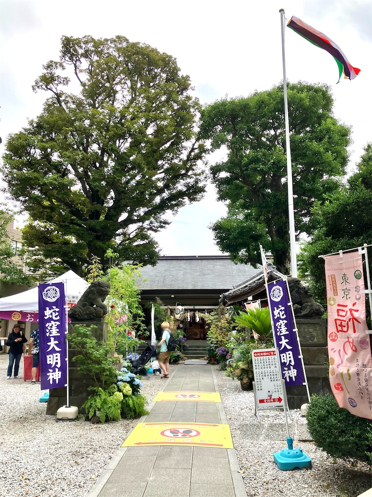 f:id:entsunagi705:20240623143626j:image f:id:entsunagi705:20240623143626j:image