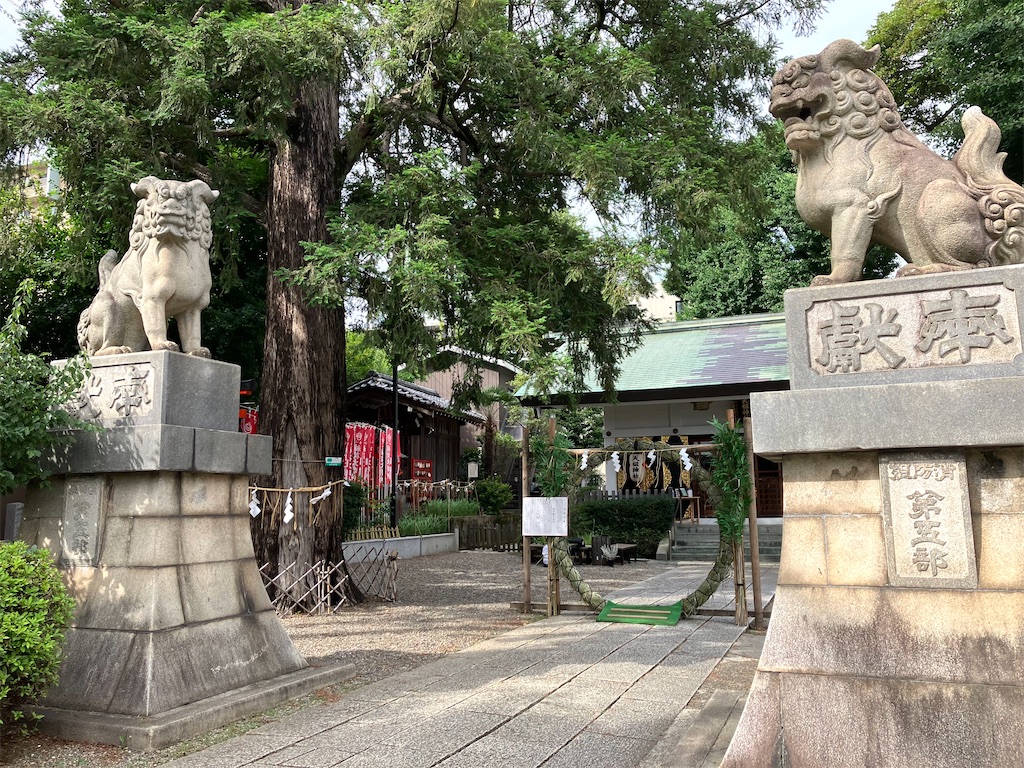 f:id:entsunagi705:20240702014157j:image f:id:entsunagi705:20240702014157j:image