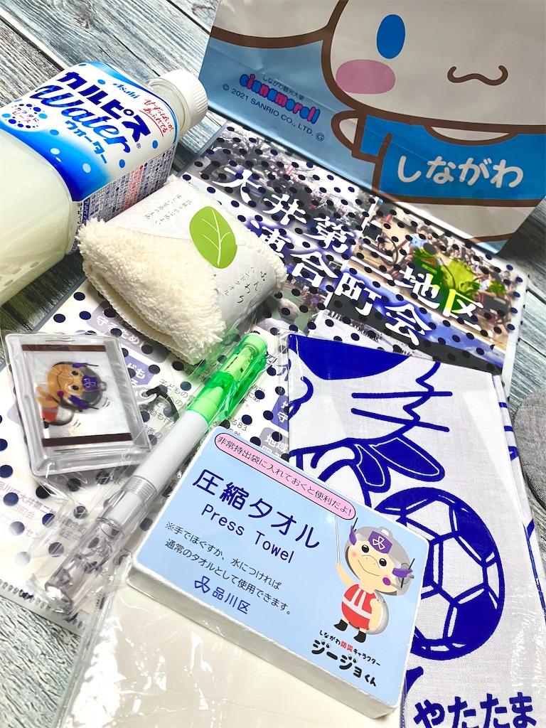 f:id:entsunagi705:20241111005946j:image