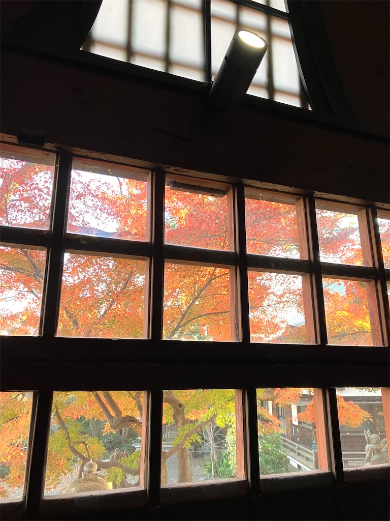 f:id:entsunagi705:20241204183013j:image