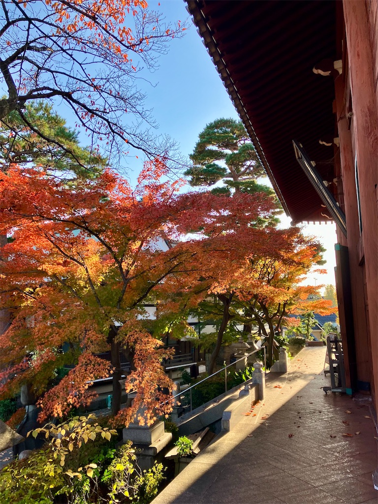 f:id:entsunagi705:20241204183030j:image