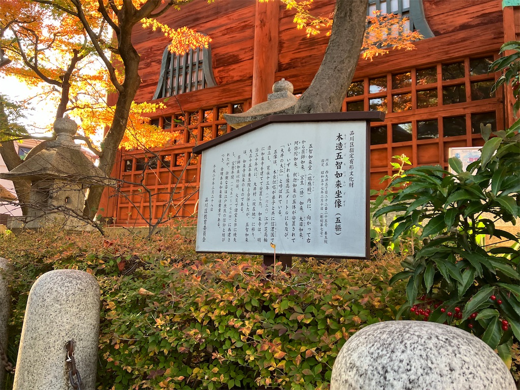 f:id:entsunagi705:20241204183111j:image