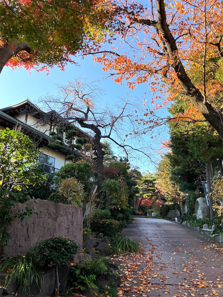f:id:entsunagi705:20241204184913j:image