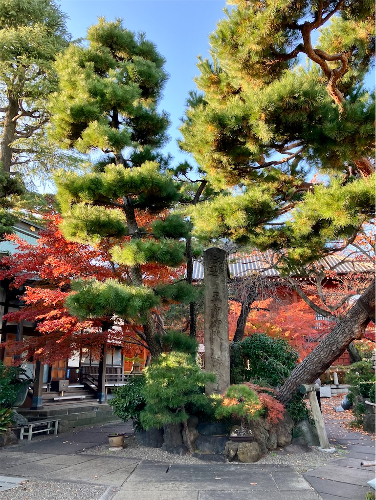 f:id:entsunagi705:20241204184929j:image