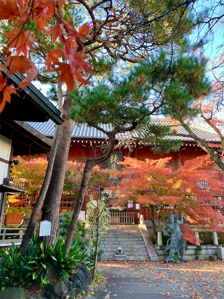 f:id:entsunagi705:20241204185153j:image