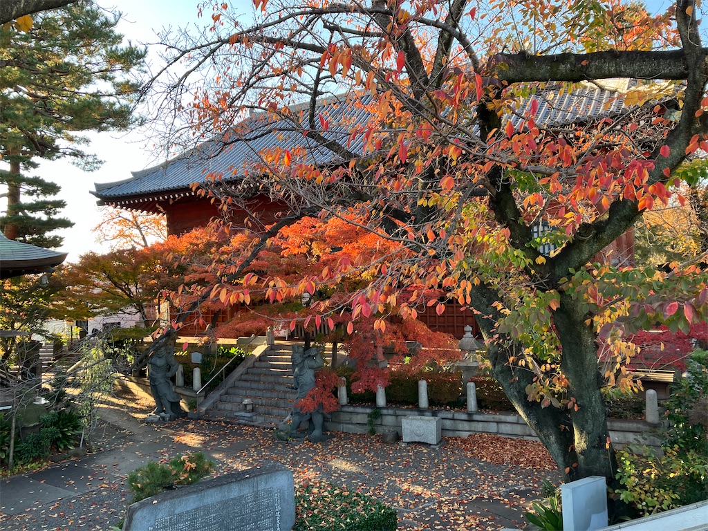 f:id:entsunagi705:20241204185223j:image