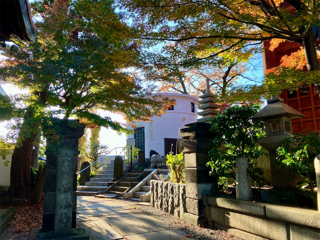 f:id:entsunagi705:20241204192317j:image