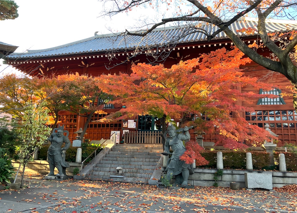 f:id:entsunagi705:20241204192813j:image