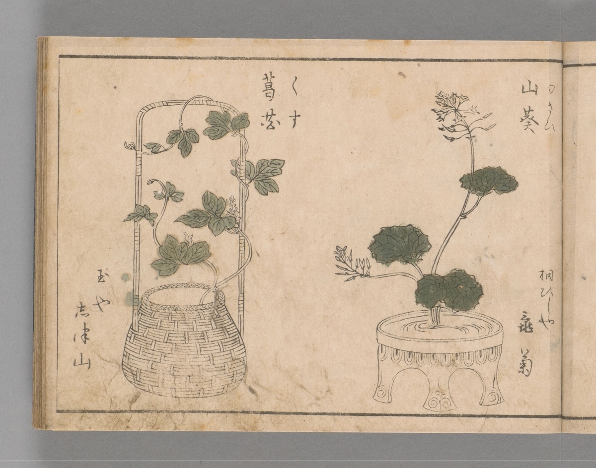 1/20 つれづれ 「べらぼう」で見た吉原見立て本「一目千本 華すまひ