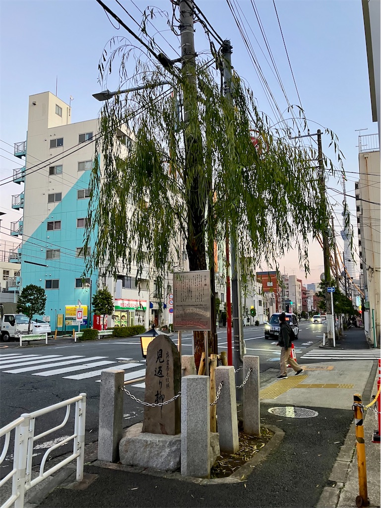 f:id:entsunagi705:20250126055707j:image f:id:entsunagi705:20250126055707j:image